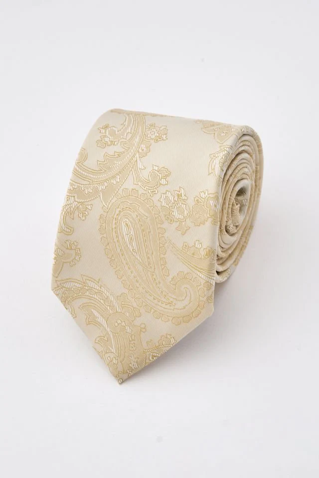 Champagne Paisley Tie Set with Tie Bar & Cufflinks - Image 3